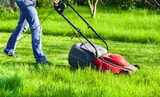 Lawn mowing top cleaning @ Glenroy
